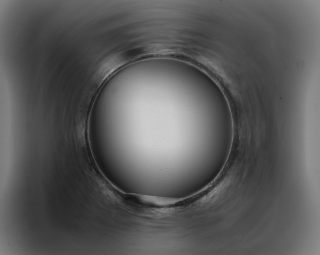 X0000088171273200705221614