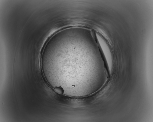 X0000088171275200705221614