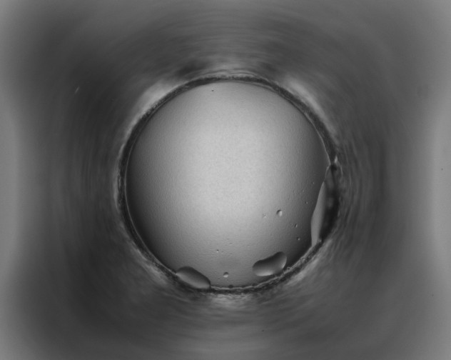 X0000088171277200705221614