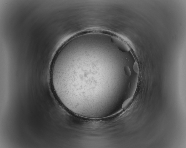 X0000088171279200705221614