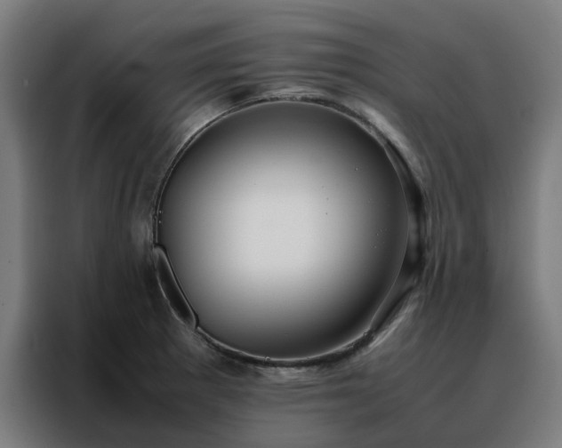 X0000088171281200705221614