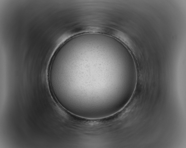 X0000088171283200705221614