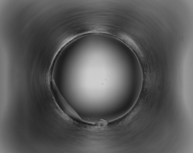 X0000088171284200705221614