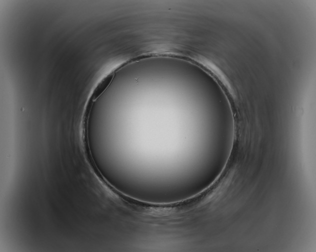 X0000088171285200705221614