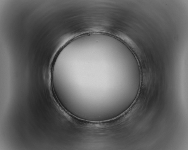 X0000088171286200705221614