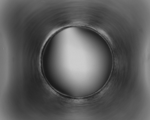 X0000088171288200705221614