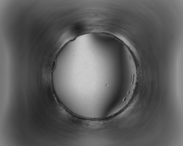 X0000088171289200705221614