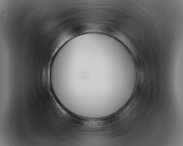 X0000088171290200705221614