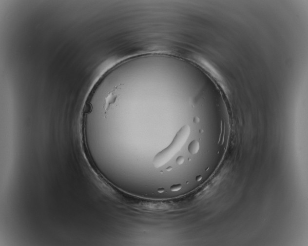 X0000088171291200705221614