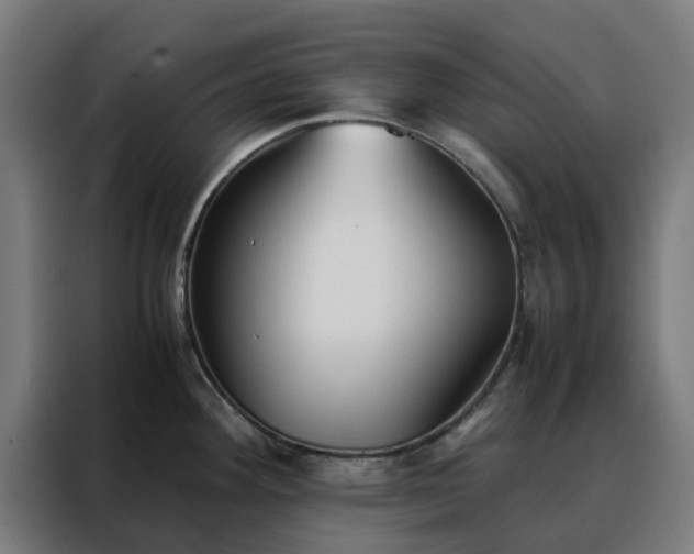 X0000088171292200705221614