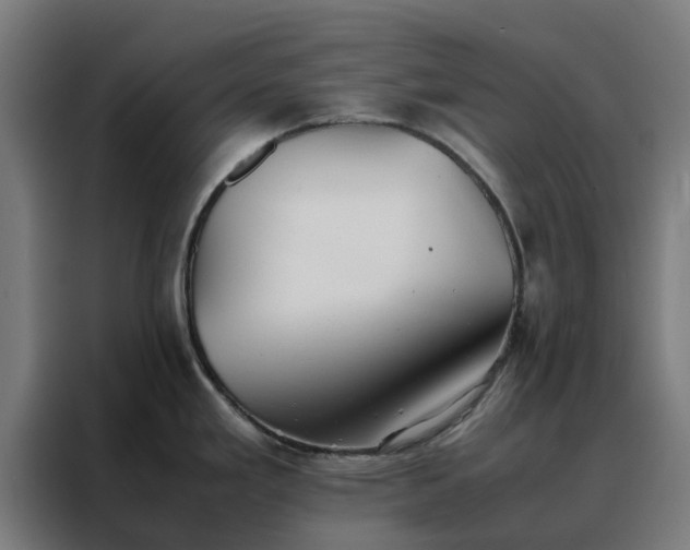 X0000088171293200705221614