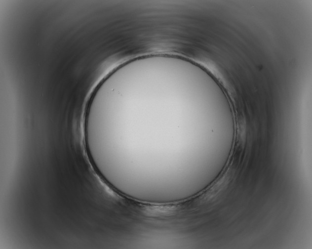 X0000088171294200705221614