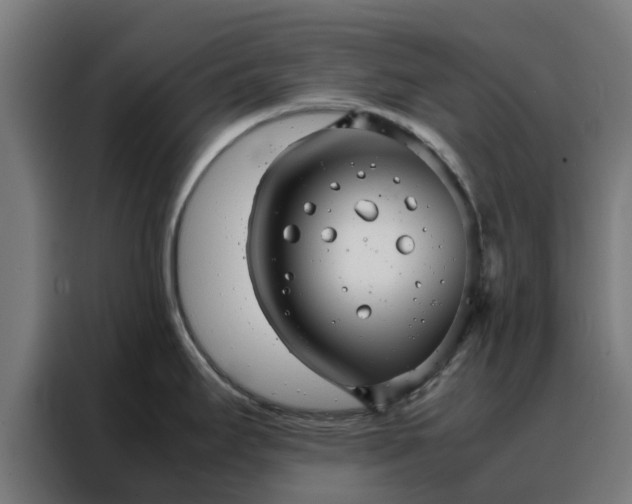 X0000088171295200705221614