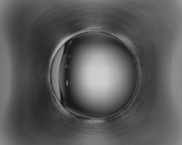 X0000088171296200705221614