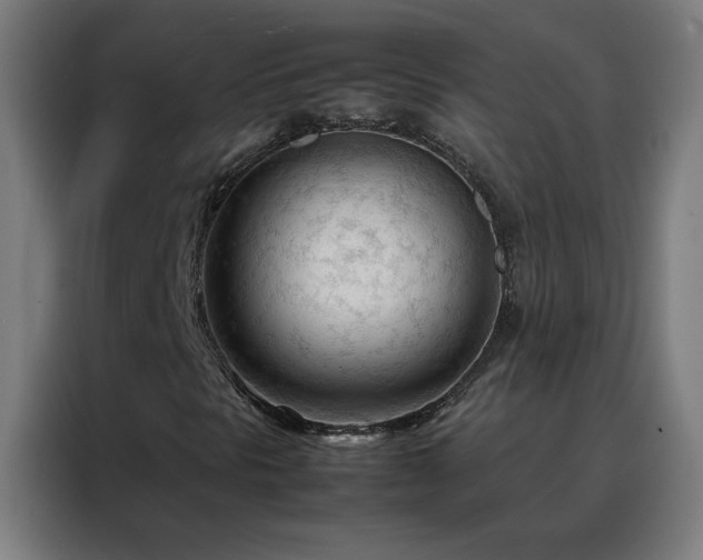 X0000088171297200705221613