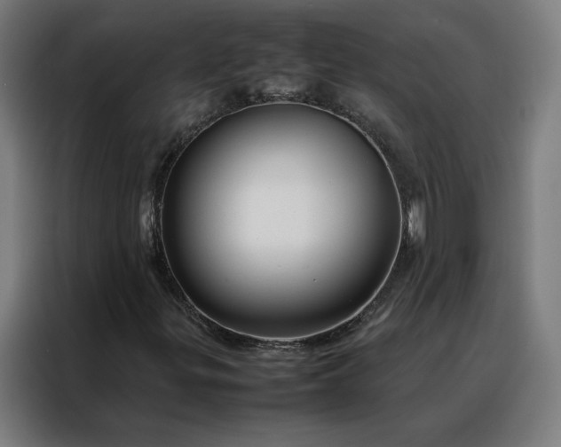 X0000088171299200705221613