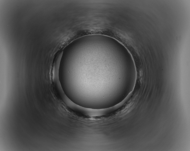 X0000088171300200705221613