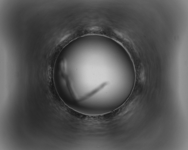 X0000088171301200705221613