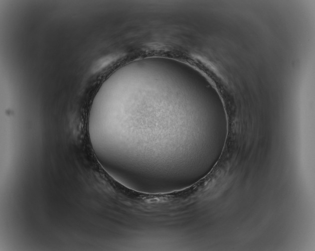 X0000088171303200705221613