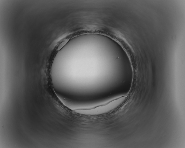 X0000088171304200705221613