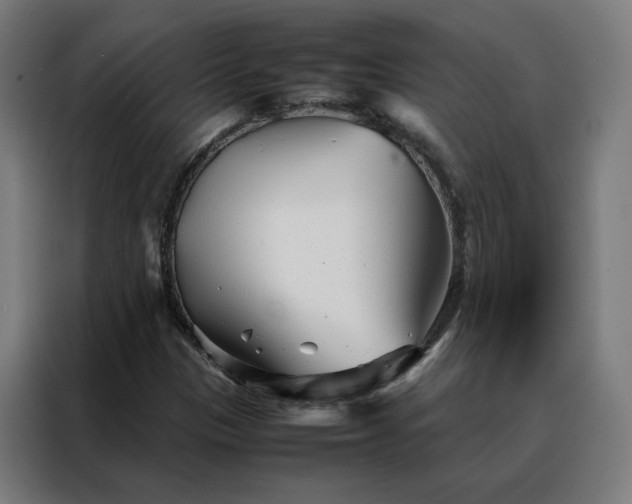 X0000088171305200705221613