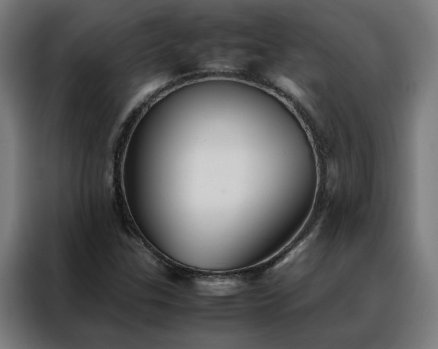 X0000088171307200705221613