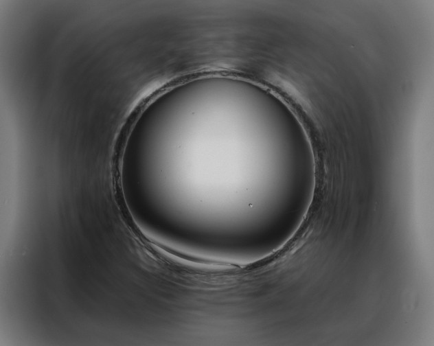 X0000088171308200705221613