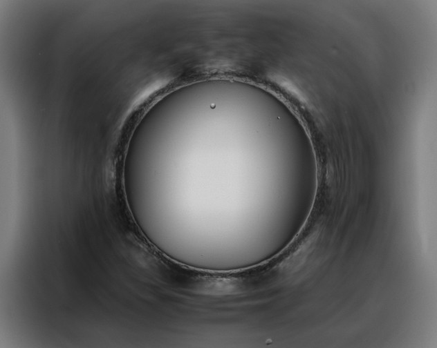 X0000088171309200705221613