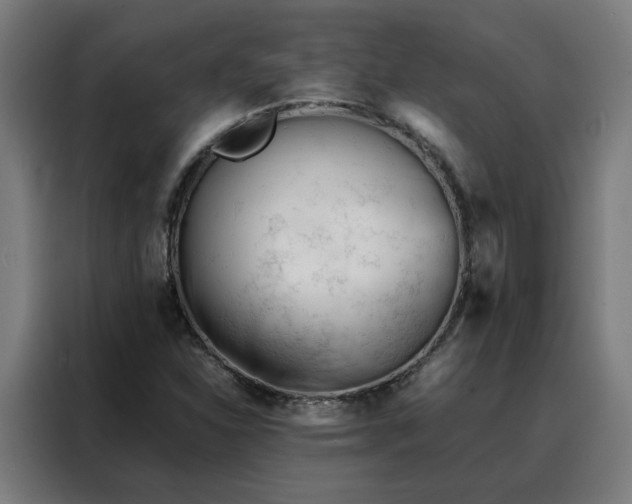 X0000088171310200705221613