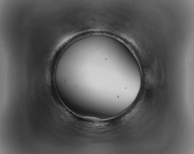 X0000088171311200705221613