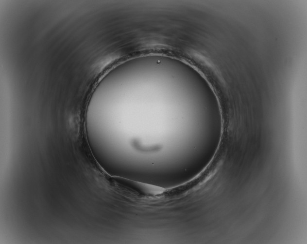 X0000088171313200705221613