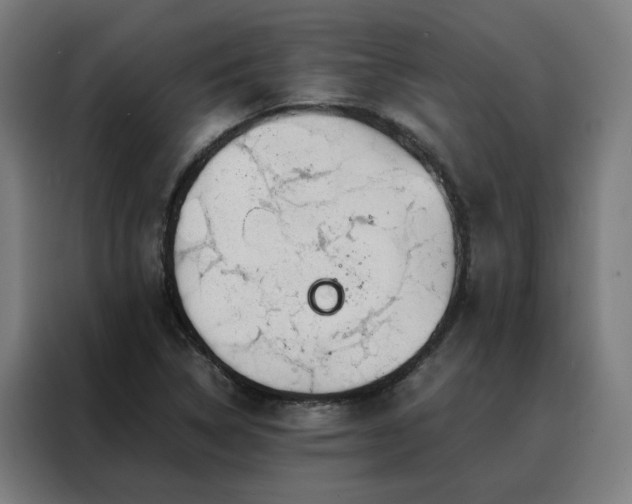 X0000088171314200705221613