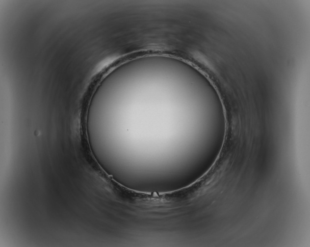 X0000088171315200705221613