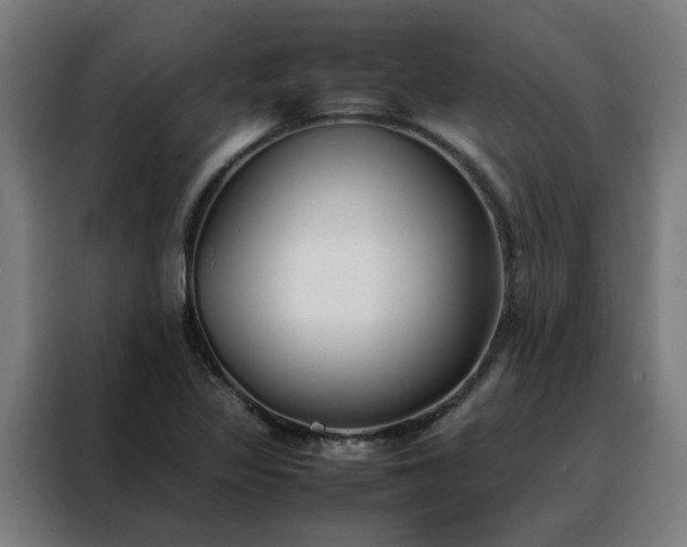 X0000088171317200705221614