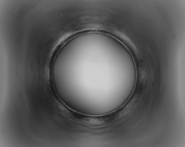 X0000088171318200705221614