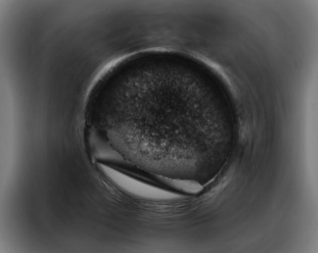 X0000088171319200705221614