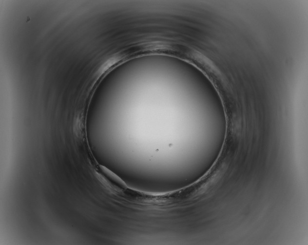 X0000088171321200705221614