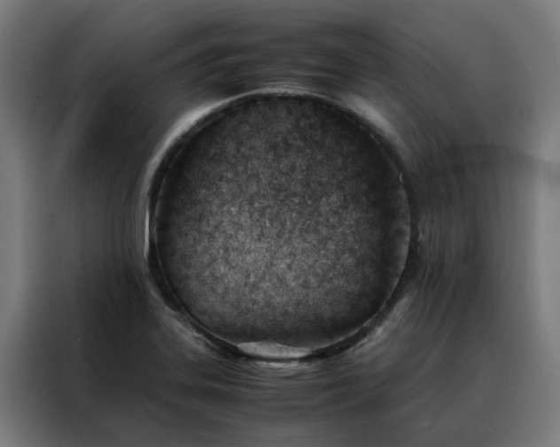 X0000088171323200705221614