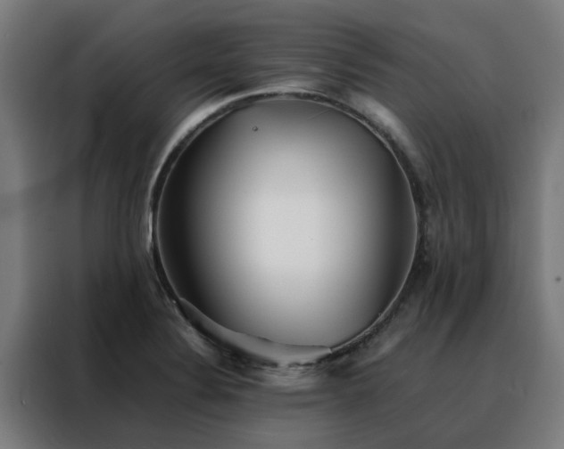 X0000088171324200705221614