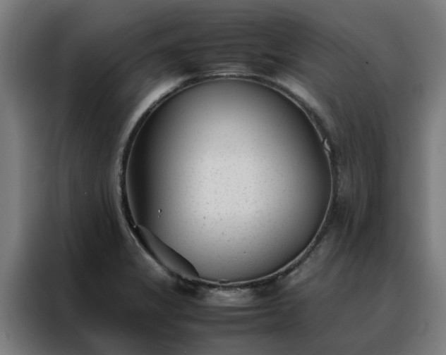 X0000088171325200705221614