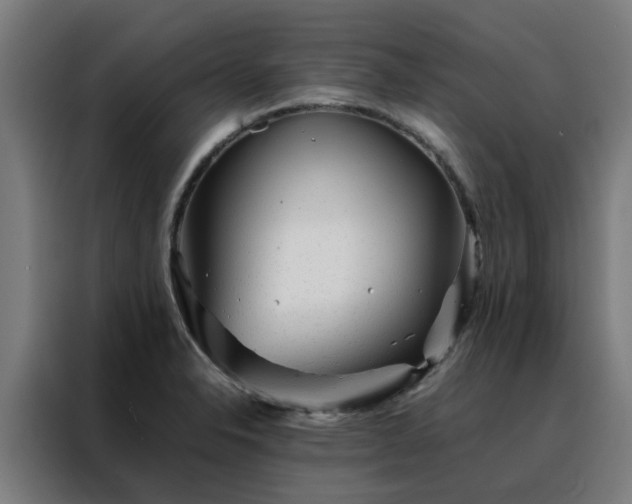 X0000088171326200705221614