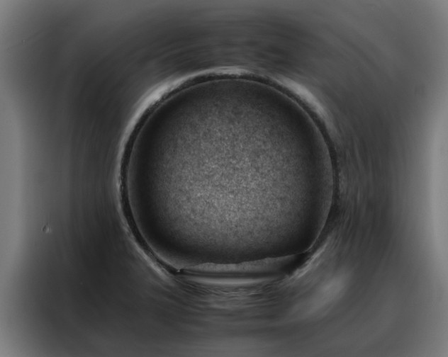 X0000088171327200705221614