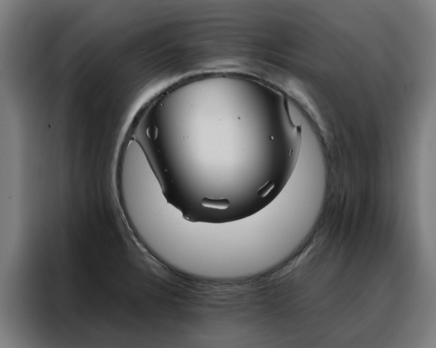 X0000088171328200705221614