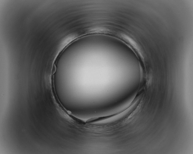 X0000088171330200705221614