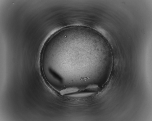 X0000088171331200705221614