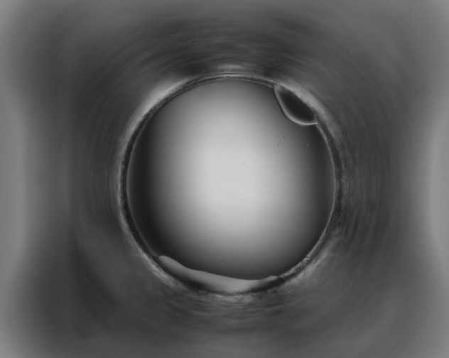 X0000088171333200705221614