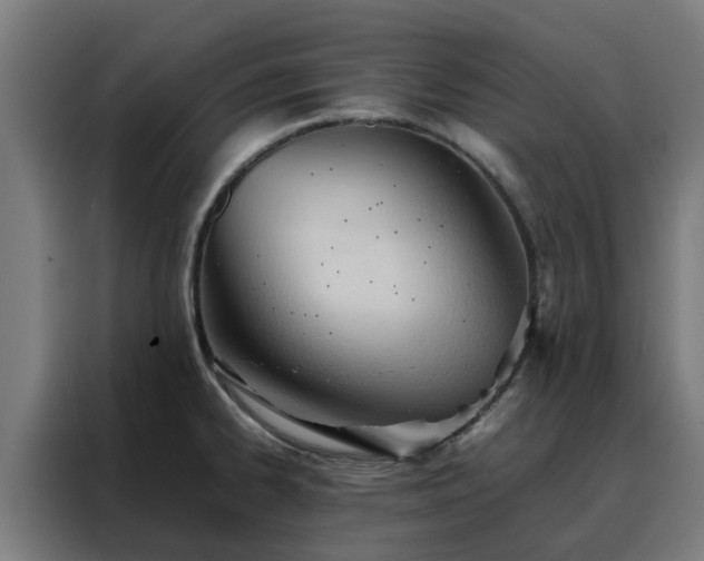 X0000088171334200705221614