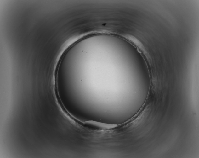 X0000088171335200705221614