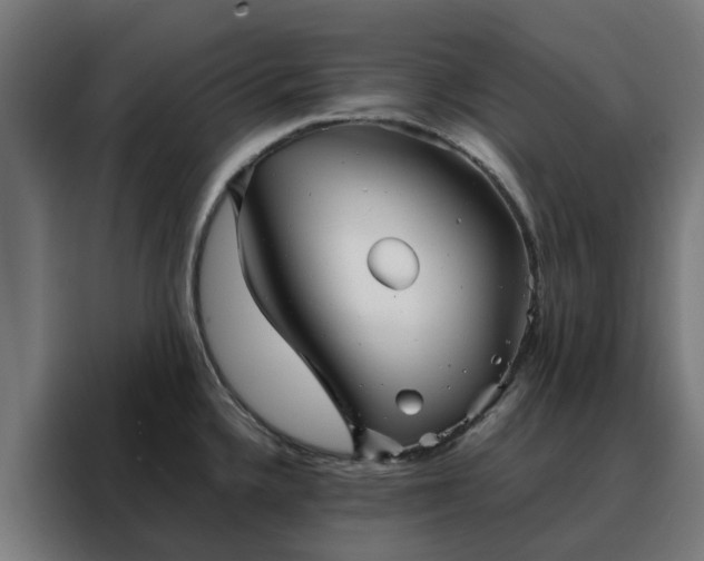 X0000088171336200705221614