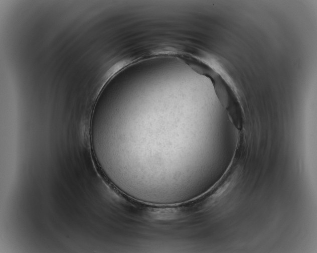 X0000088171337200705221614